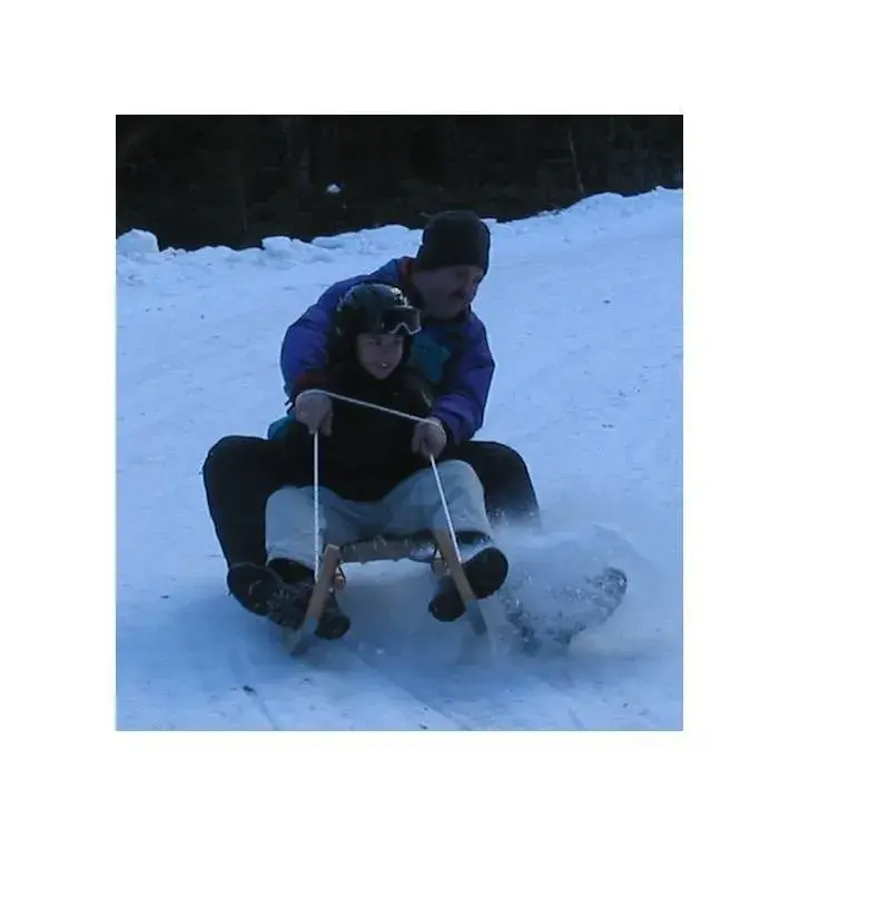 Vater und Sohn auf einem Rennrodel